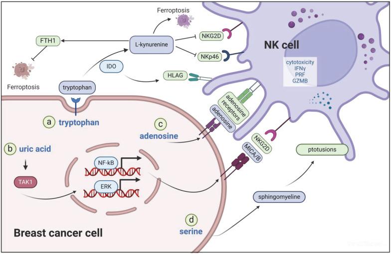 https://cdn.ncbi.nlm.nih.gov/pmc/blobs/b5b5/12035885/d824b7ecf490/ijbsv21p2606g003.jpg