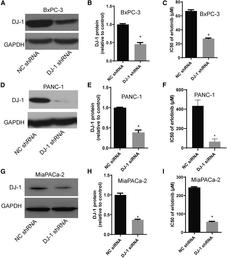 https://cdn.ncbi.nlm.nih.gov/pmc/blobs/b5b5/7878983/0759265812ee/gr1.jpg