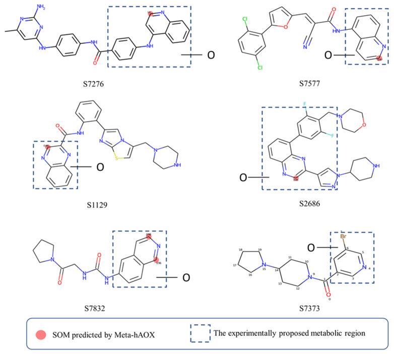 https://cdn.ncbi.nlm.nih.gov/pmc/blobs/b5b7/10059660/62888a93b143/metabolites-13-00449-g007.jpg