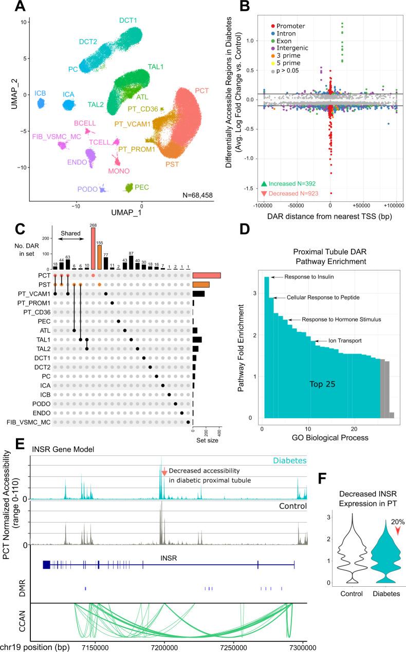 https://cdn.ncbi.nlm.nih.gov/pmc/blobs/b5ba/9448792/82fdf9f378c9/41467_2022_32972_Fig1_HTML.jpg