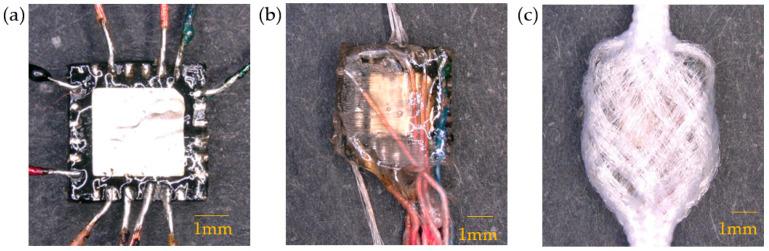 https://cdn.ncbi.nlm.nih.gov/pmc/blobs/b5bb/10004402/aa5c2827a576/materials-16-01920-g001.jpg