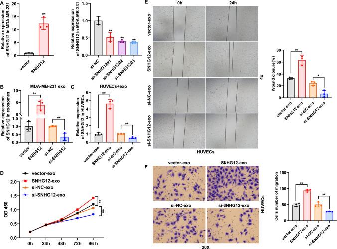 https://cdn.ncbi.nlm.nih.gov/pmc/blobs/b5bb/11194216/e9a5d3252ebc/12282_2024_1574_Fig3_HTML.jpg