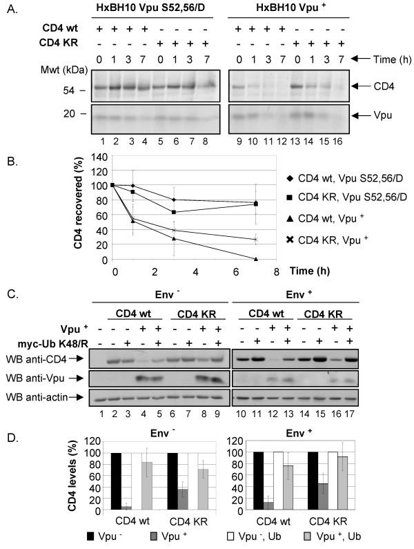 https://cdn.ncbi.nlm.nih.gov/pmc/blobs/b5bc/2170451/093e2b43af2d/1742-4690-4-75-3.jpg