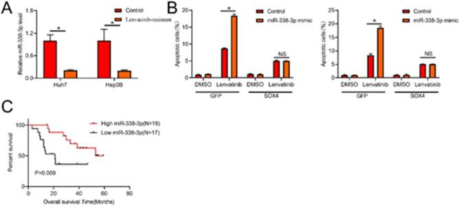 https://cdn.ncbi.nlm.nih.gov/pmc/blobs/b5bd/12274585/ce91b95076b9/41598_2025_6805_Fig5_HTML.jpg