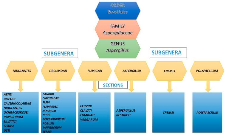 https://cdn.ncbi.nlm.nih.gov/pmc/blobs/b5be/10674884/60c5f6d060be/pathogens-12-01305-g001.jpg