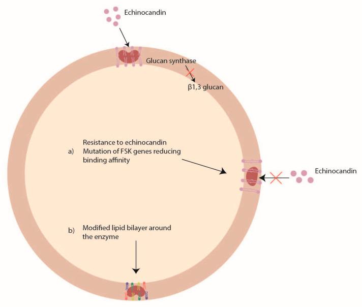 https://cdn.ncbi.nlm.nih.gov/pmc/blobs/b5be/10674884/901241ae09db/pathogens-12-01305-g004.jpg