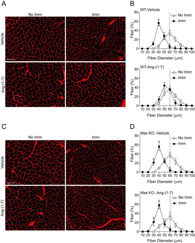 https://cdn.ncbi.nlm.nih.gov/pmc/blobs/b5c1/4852504/d3df0e15f67b/dmm-9-023390-g2.jpg