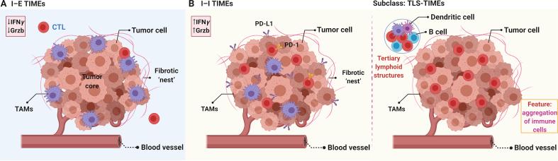https://cdn.ncbi.nlm.nih.gov/pmc/blobs/b5c1/7714985/668d751f1543/gr2.jpg