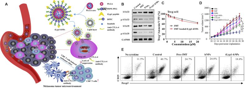 https://cdn.ncbi.nlm.nih.gov/pmc/blobs/b5c1/7714985/8291b78a48e5/gr7.jpg