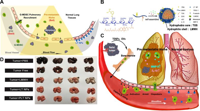 https://cdn.ncbi.nlm.nih.gov/pmc/blobs/b5c1/7714985/b05f65d01b94/gr6.jpg