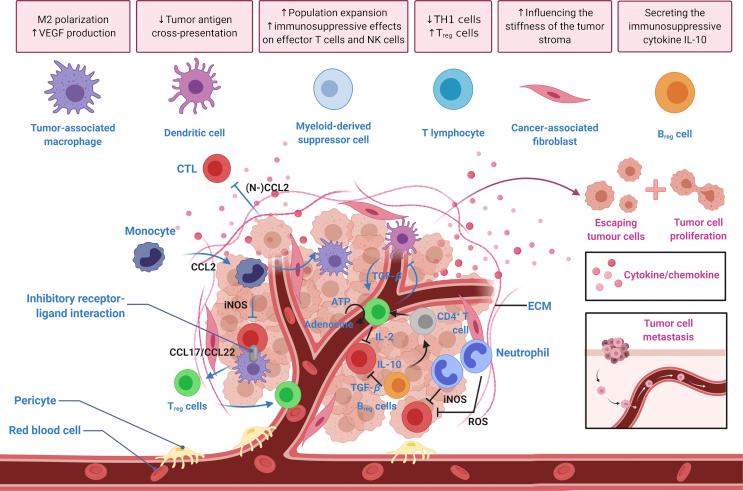 https://cdn.ncbi.nlm.nih.gov/pmc/blobs/b5c1/7714985/d834c73a98f7/gr1.jpg