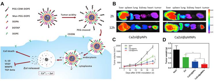 https://cdn.ncbi.nlm.nih.gov/pmc/blobs/b5c1/7714985/ead7acbf182c/gr5.jpg
