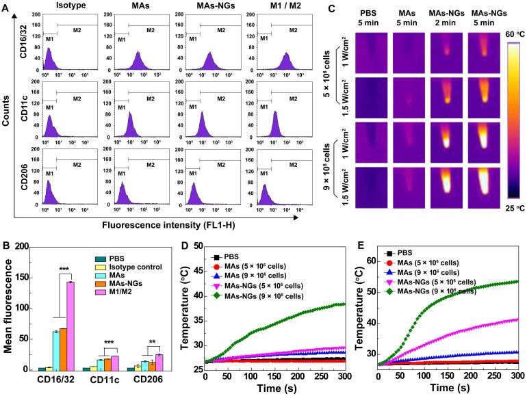 https://cdn.ncbi.nlm.nih.gov/pmc/blobs/b5c2/8171075/28662c9ea997/thnov11p7057g004.jpg