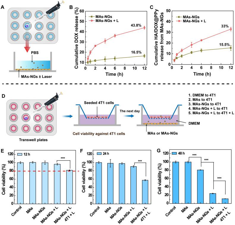 https://cdn.ncbi.nlm.nih.gov/pmc/blobs/b5c2/8171075/474922fef250/thnov11p7057g005.jpg