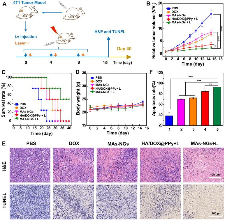 https://cdn.ncbi.nlm.nih.gov/pmc/blobs/b5c2/8171075/f7e5b602f693/thnov11p7057g007.jpg