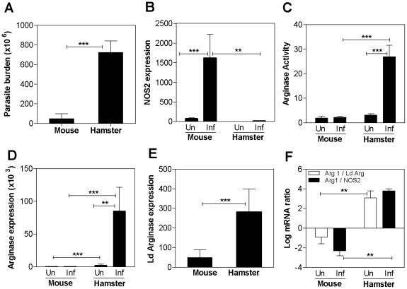 https://cdn.ncbi.nlm.nih.gov/pmc/blobs/b5c5/3261917/0ec0a3c96f55/ppat.1002417.g001.jpg