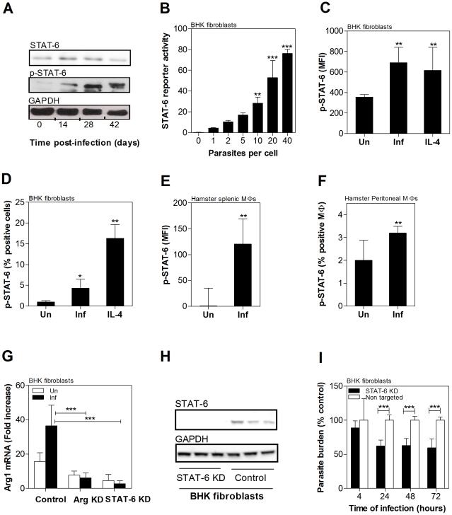 https://cdn.ncbi.nlm.nih.gov/pmc/blobs/b5c5/3261917/10bc11555428/ppat.1002417.g007.jpg