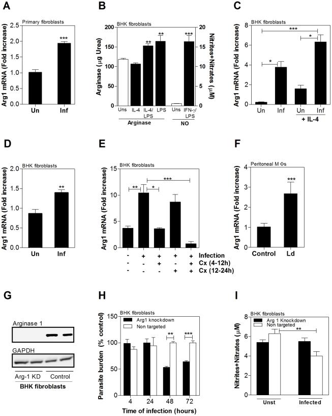https://cdn.ncbi.nlm.nih.gov/pmc/blobs/b5c5/3261917/7364d8ecb056/ppat.1002417.g006.jpg