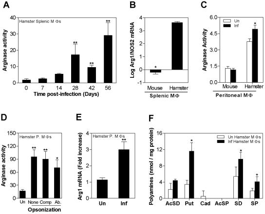 https://cdn.ncbi.nlm.nih.gov/pmc/blobs/b5c5/3261917/abe9b0d4ef8c/ppat.1002417.g005.jpg