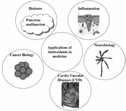 https://cdn.ncbi.nlm.nih.gov/pmc/blobs/b5c6/2724665/8737b441cfe4/CN-7-65_F3.jpg