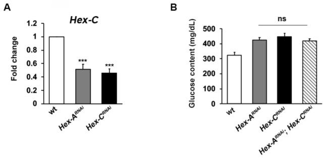 https://cdn.ncbi.nlm.nih.gov/pmc/blobs/b5c9/7831483/280c52508cef/ijms-22-00918-g003.jpg