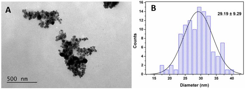 https://cdn.ncbi.nlm.nih.gov/pmc/blobs/b5cb/10458800/1f25711c29de/pharmaceutics-15-02162-g004.jpg