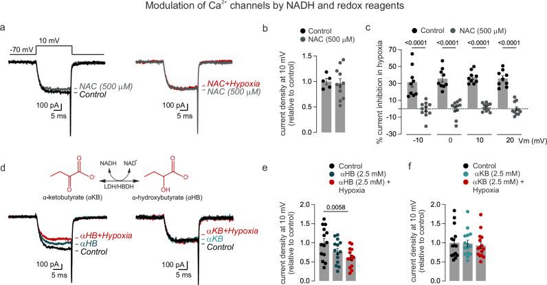 https://cdn.ncbi.nlm.nih.gov/pmc/blobs/b5cb/11300585/354c586d2484/41467_2024_51023_Fig5_HTML.jpg