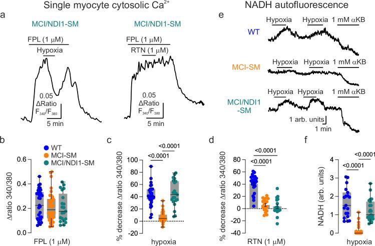 https://cdn.ncbi.nlm.nih.gov/pmc/blobs/b5cb/11300585/b00ae3477dc1/41467_2024_51023_Fig7_HTML.jpg