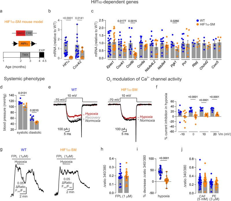 https://cdn.ncbi.nlm.nih.gov/pmc/blobs/b5cb/11300585/f03a1c8eef90/41467_2024_51023_Fig8_HTML.jpg