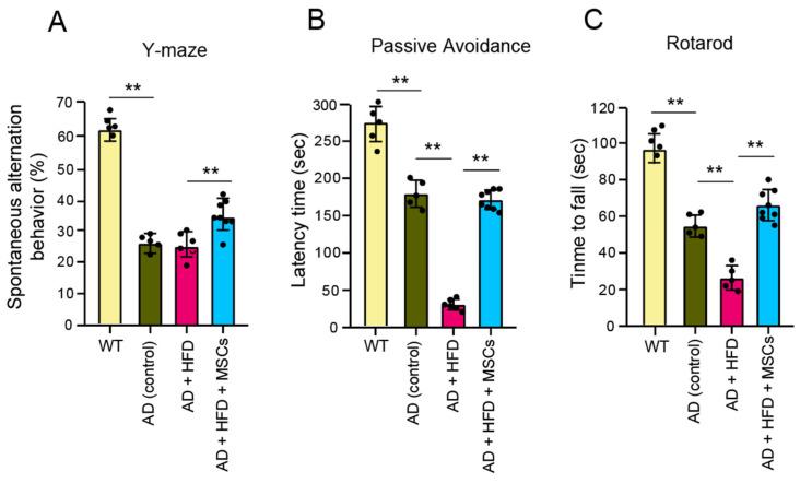 https://cdn.ncbi.nlm.nih.gov/pmc/blobs/b5cb/11642414/7282601858ca/ijms-25-13210-g005.jpg