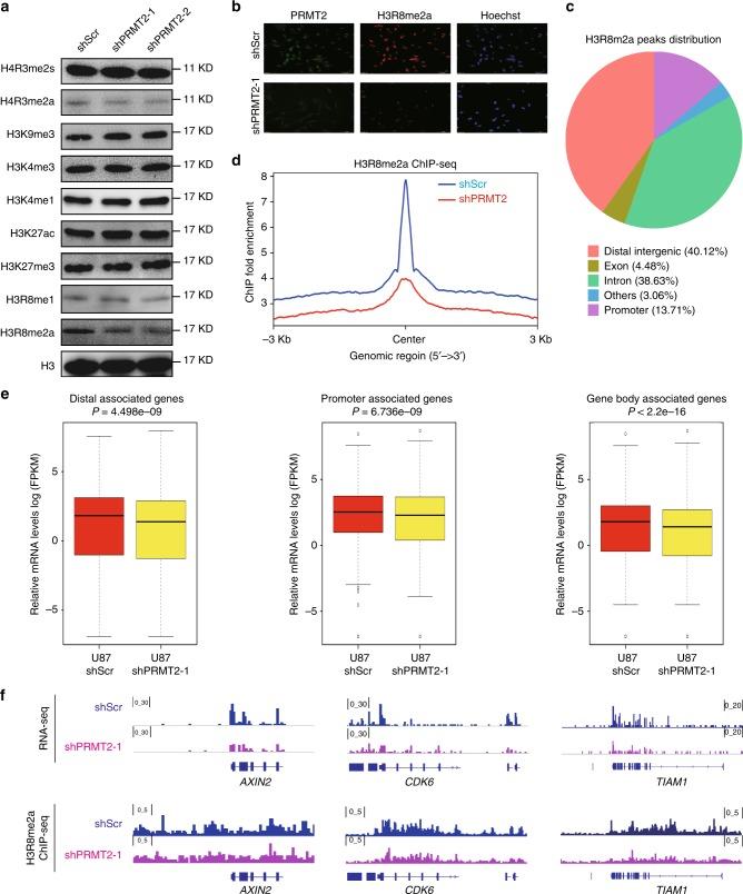 https://cdn.ncbi.nlm.nih.gov/pmc/blobs/b5cc/6208368/c72ad18ecf0d/41467_2018_6968_Fig5_HTML.jpg