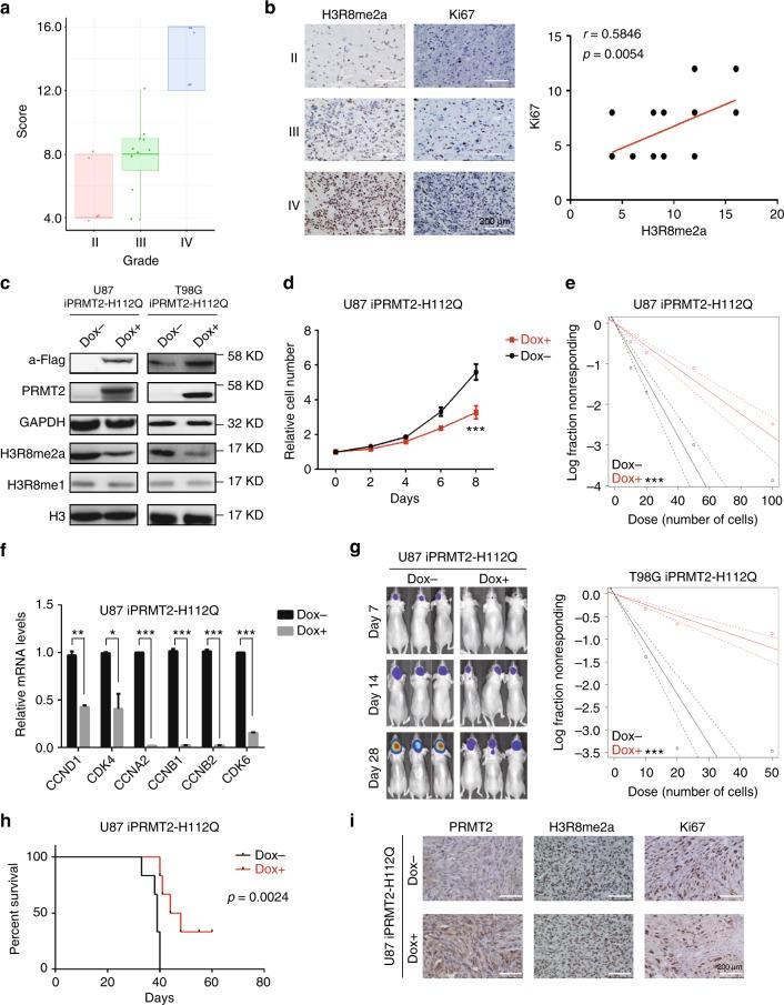 https://cdn.ncbi.nlm.nih.gov/pmc/blobs/b5cc/6208368/cb6241fb1dc3/41467_2018_6968_Fig7_HTML.jpg