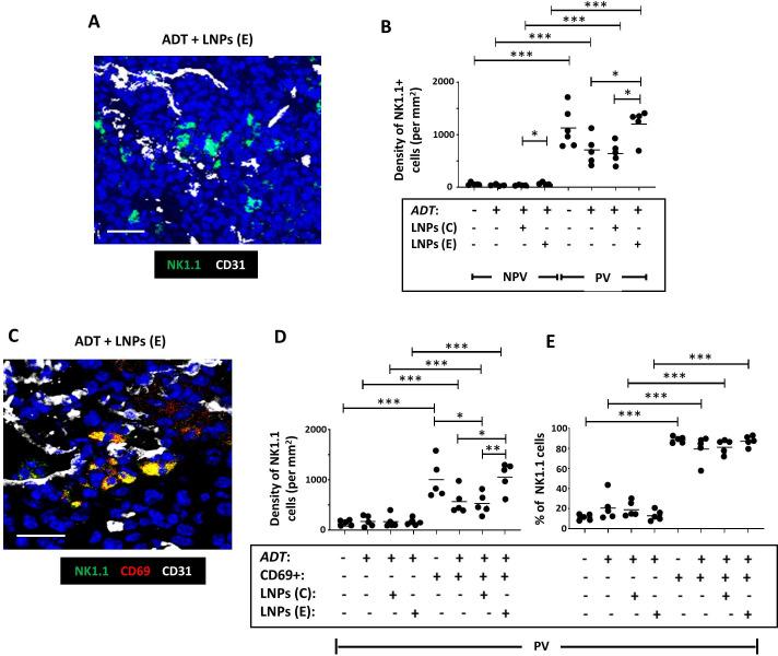 https://cdn.ncbi.nlm.nih.gov/pmc/blobs/b5cf/11284826/262fcb7c8a4f/jitc-12-7-g007.jpg