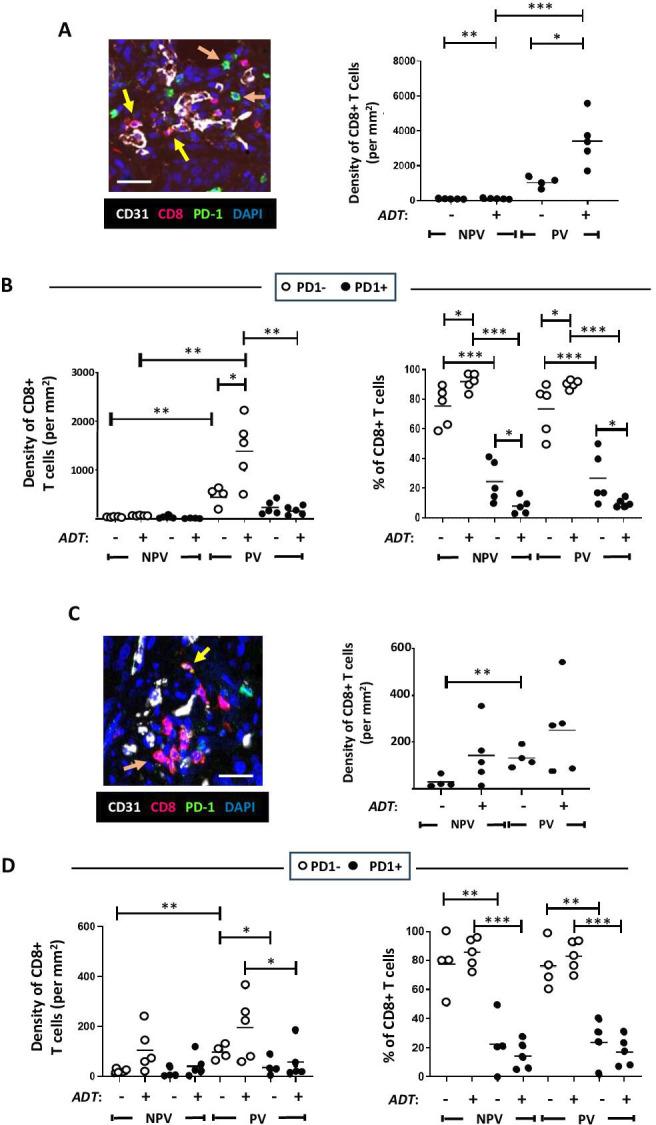 https://cdn.ncbi.nlm.nih.gov/pmc/blobs/b5cf/11284826/42dfe98b6b66/jitc-12-7-g002.jpg