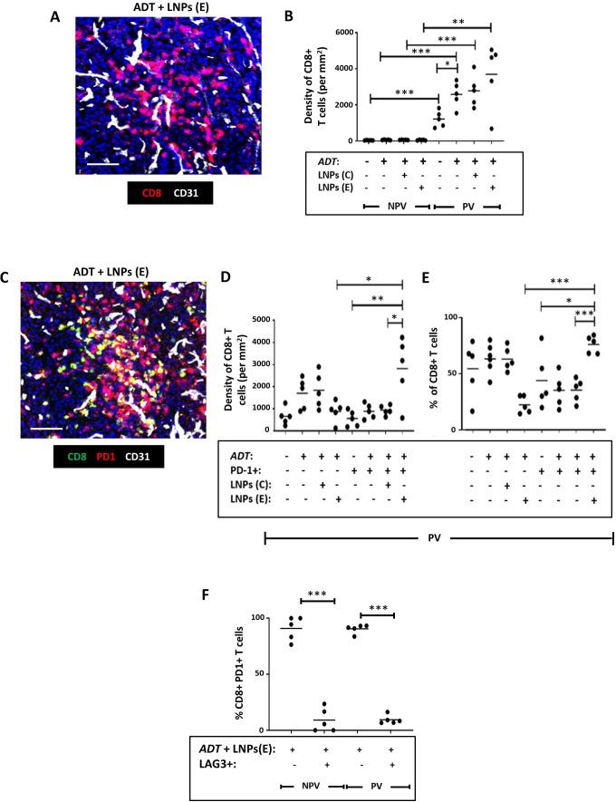 https://cdn.ncbi.nlm.nih.gov/pmc/blobs/b5cf/11284826/a11965893f47/jitc-12-7-g005.jpg