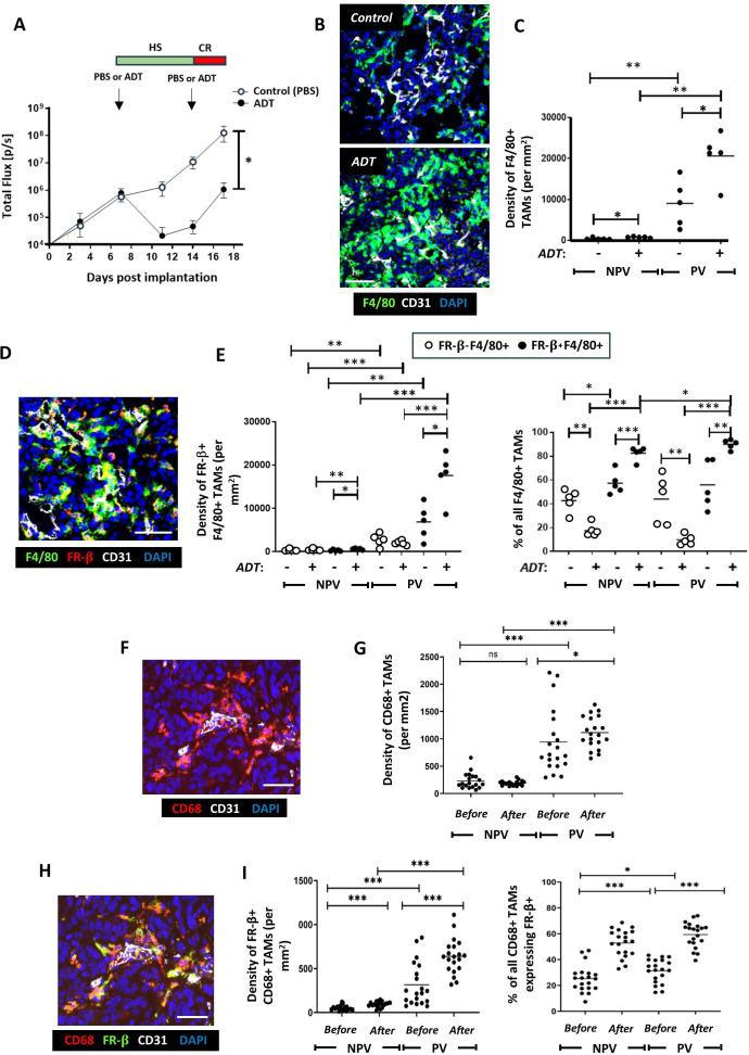 https://cdn.ncbi.nlm.nih.gov/pmc/blobs/b5cf/11284826/db776e3091e9/jitc-12-7-g001.jpg