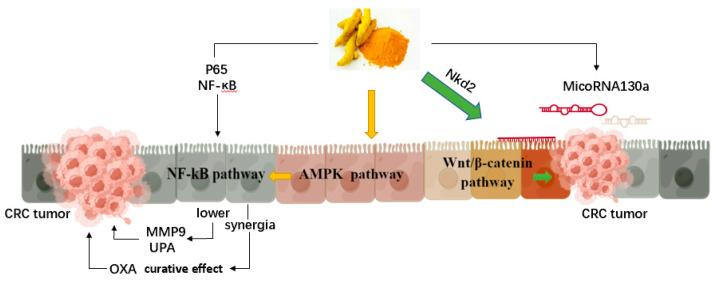 https://cdn.ncbi.nlm.nih.gov/pmc/blobs/b5cf/9787795/2ac9657591dc/molecules-27-08810-g003.jpg
