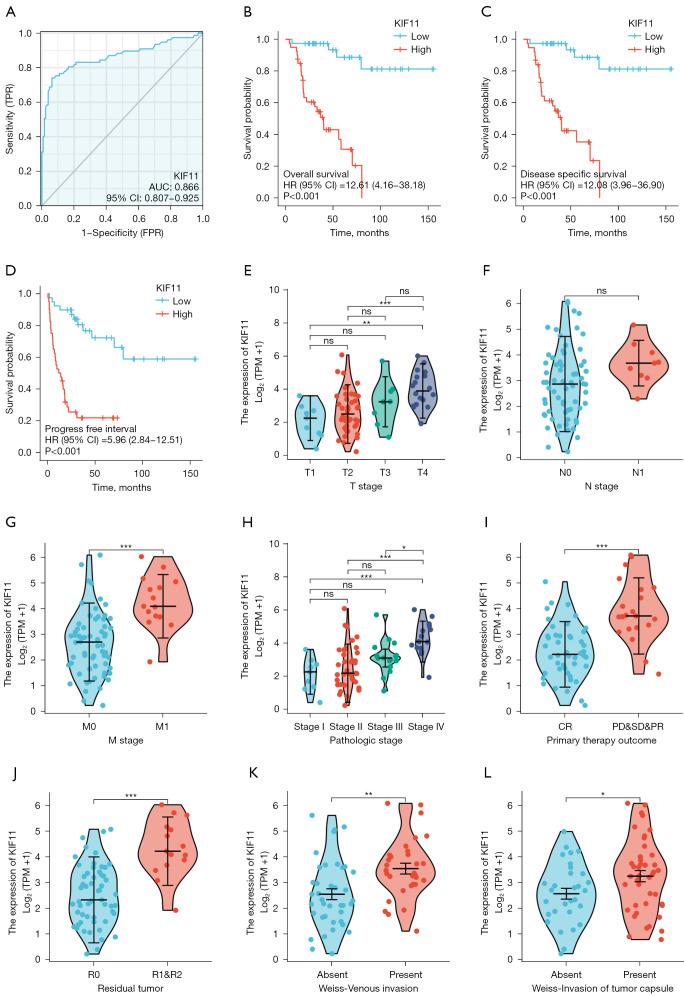 https://cdn.ncbi.nlm.nih.gov/pmc/blobs/b5d1/10170266/7670433f2566/tau-12-04-594-f5.jpg