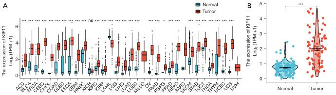https://cdn.ncbi.nlm.nih.gov/pmc/blobs/b5d1/10170266/d89e8b899e67/tau-12-04-594-f1.jpg