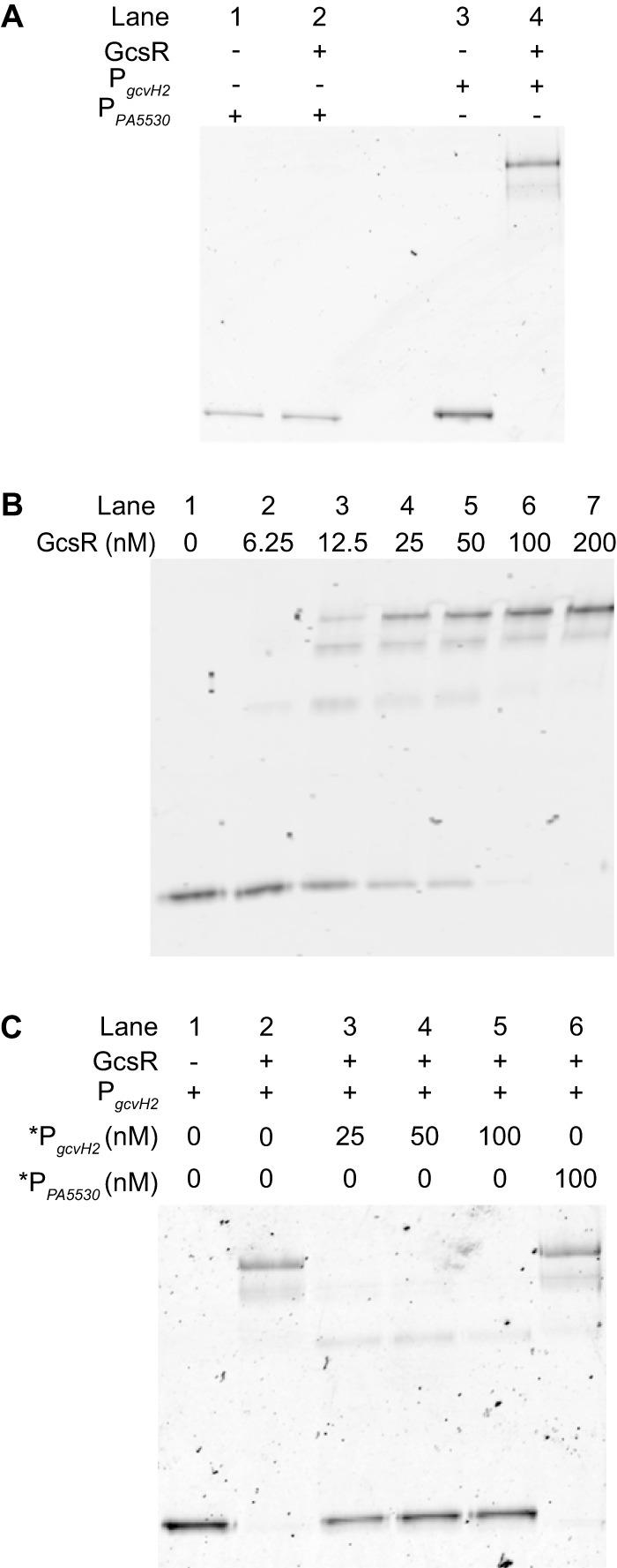 https://cdn.ncbi.nlm.nih.gov/pmc/blobs/b5d2/4894688/165c30a5ffe1/sph0021620750005.jpg