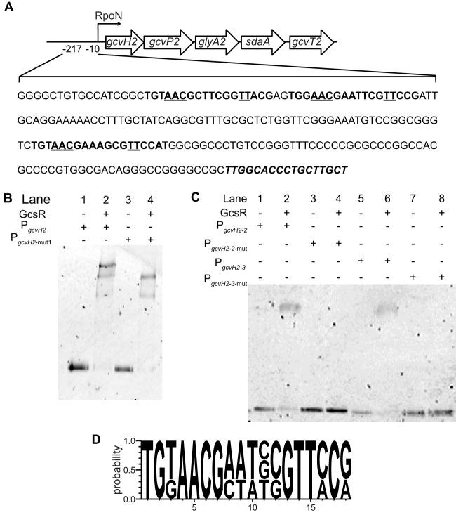 https://cdn.ncbi.nlm.nih.gov/pmc/blobs/b5d2/4894688/ea8e7a1ff256/sph0021620750006.jpg