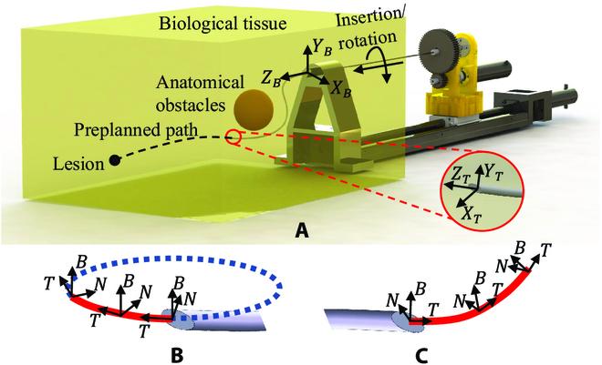 https://cdn.ncbi.nlm.nih.gov/pmc/blobs/b5d6/10204738/1ca378779328/cbsystems.0026.fig.001.jpg