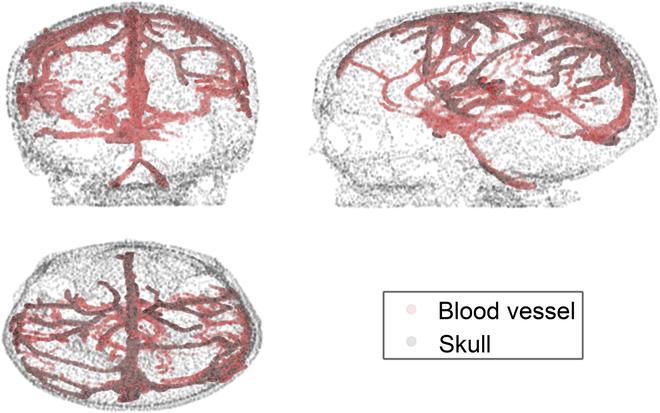 https://cdn.ncbi.nlm.nih.gov/pmc/blobs/b5d6/10204738/e2f465c27e61/cbsystems.0026.fig.005.jpg