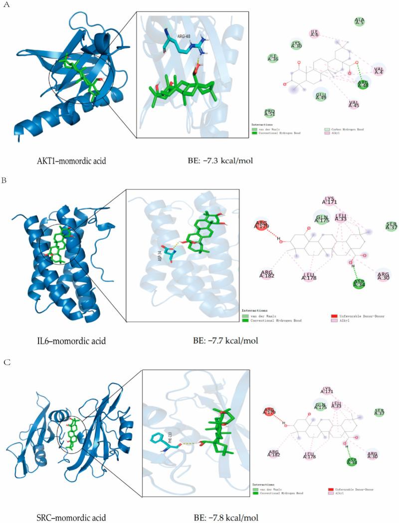 https://cdn.ncbi.nlm.nih.gov/pmc/blobs/b5d6/12030615/518b44524e04/pharmaceuticals-18-00474-g004.jpg