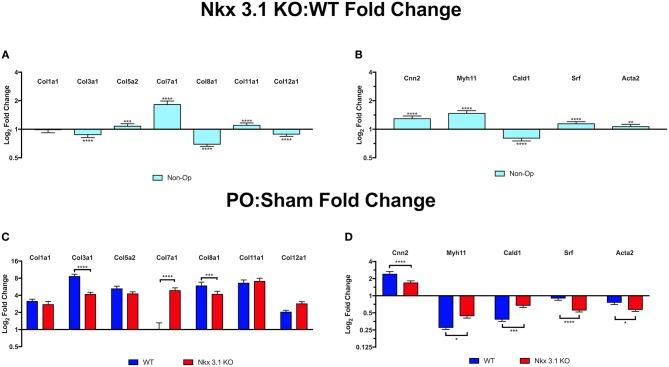 https://cdn.ncbi.nlm.nih.gov/pmc/blobs/b5d7/6861332/d1cea582385f/fped-07-00446-g0007.jpg