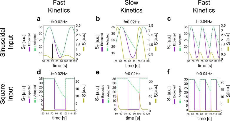 https://cdn.ncbi.nlm.nih.gov/pmc/blobs/b5d7/8371027/d31ae2956d3b/41540_2021_192_Fig4_HTML.jpg
