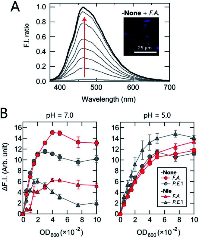 https://cdn.ncbi.nlm.nih.gov/pmc/blobs/b5d8/9132137/79db6f9b06e7/d2sc00510g-f2.jpg