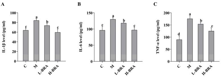 https://cdn.ncbi.nlm.nih.gov/pmc/blobs/b5d9/11820437/25a2ab44c045/nutrients-17-00502-g003.jpg