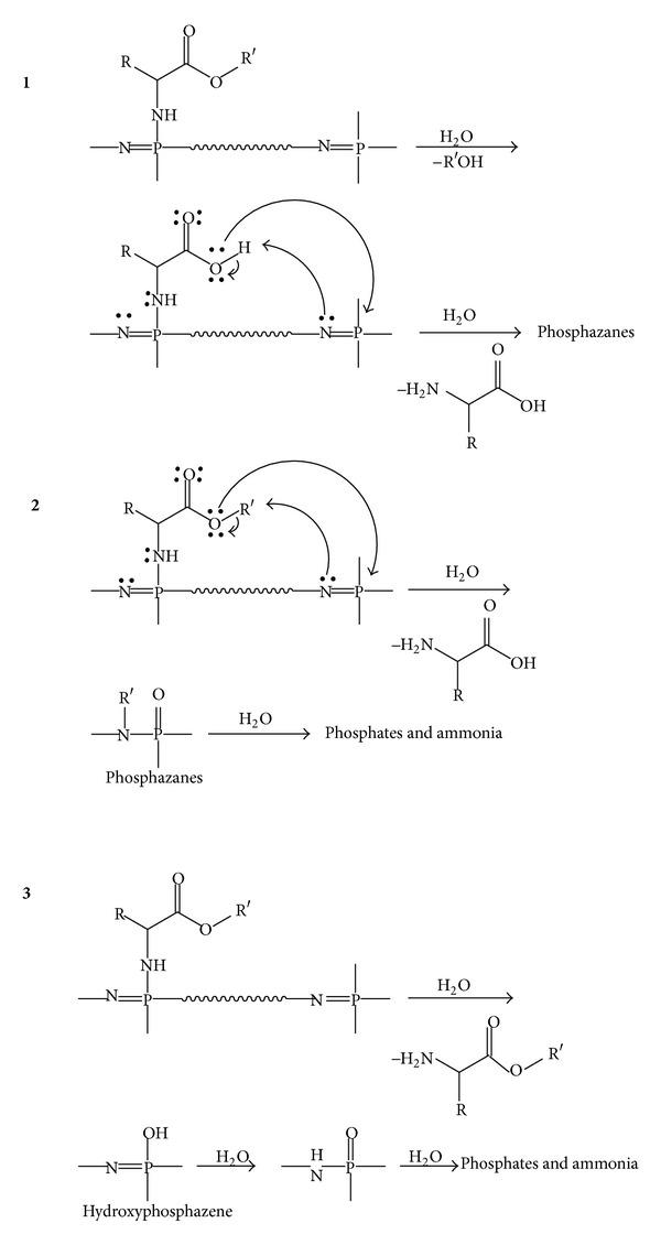 https://cdn.ncbi.nlm.nih.gov/pmc/blobs/b5da/4022062/7032ba7968d7/BMRI2014-761373.sch.002.jpg