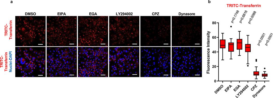https://cdn.ncbi.nlm.nih.gov/pmc/blobs/b5dd/7483988/2cfdf6b1cbfb/nihms-1593998-f0012.jpg